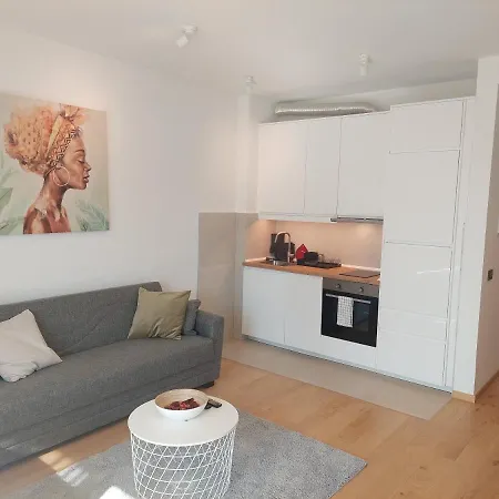 Smart In Novi Dorcol 1 Km From Center *