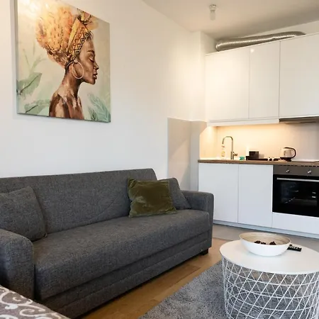 Apartment Smart In Novi Dorcol 1 Km From Center *